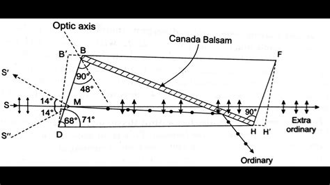 nicol prism polarimeter diagram|NICOL PRISM (Principle, construction and working).